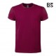 BS - BS010 - T Shirt Evolution T