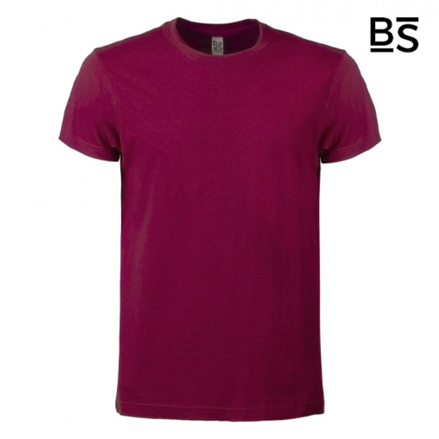 BS - BS010 - T Shirt Evolution T