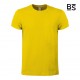 BS - BS010 - T Shirt Evolution T