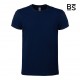 BS - BS010 - T Shirt Evolution T