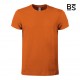 BS - BS010 - T Shirt Evolution T