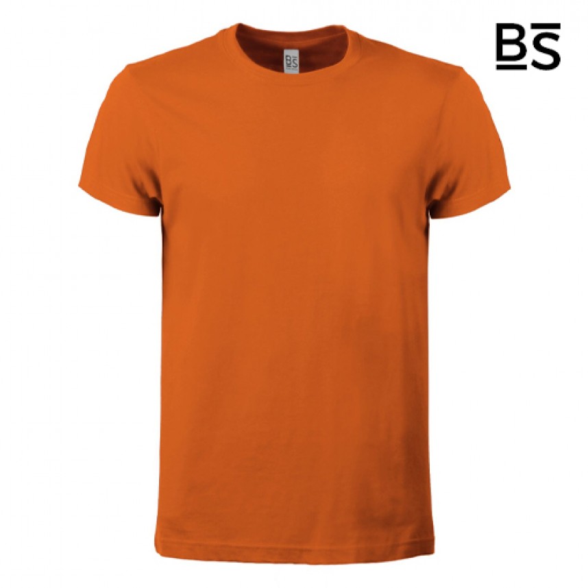 BS - BS010 - T Shirt Evolution T